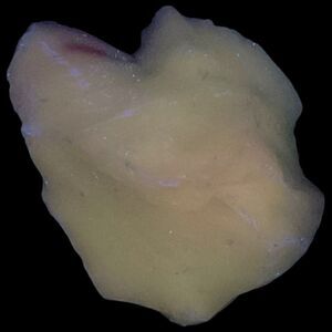 Mint Green Pink Swirl Art Glass Cullet Glowing Manganese Slag‎ Glass #4GL297